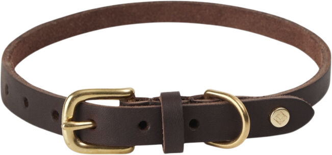 Robin Hundehalsb&aring;nd - Medium