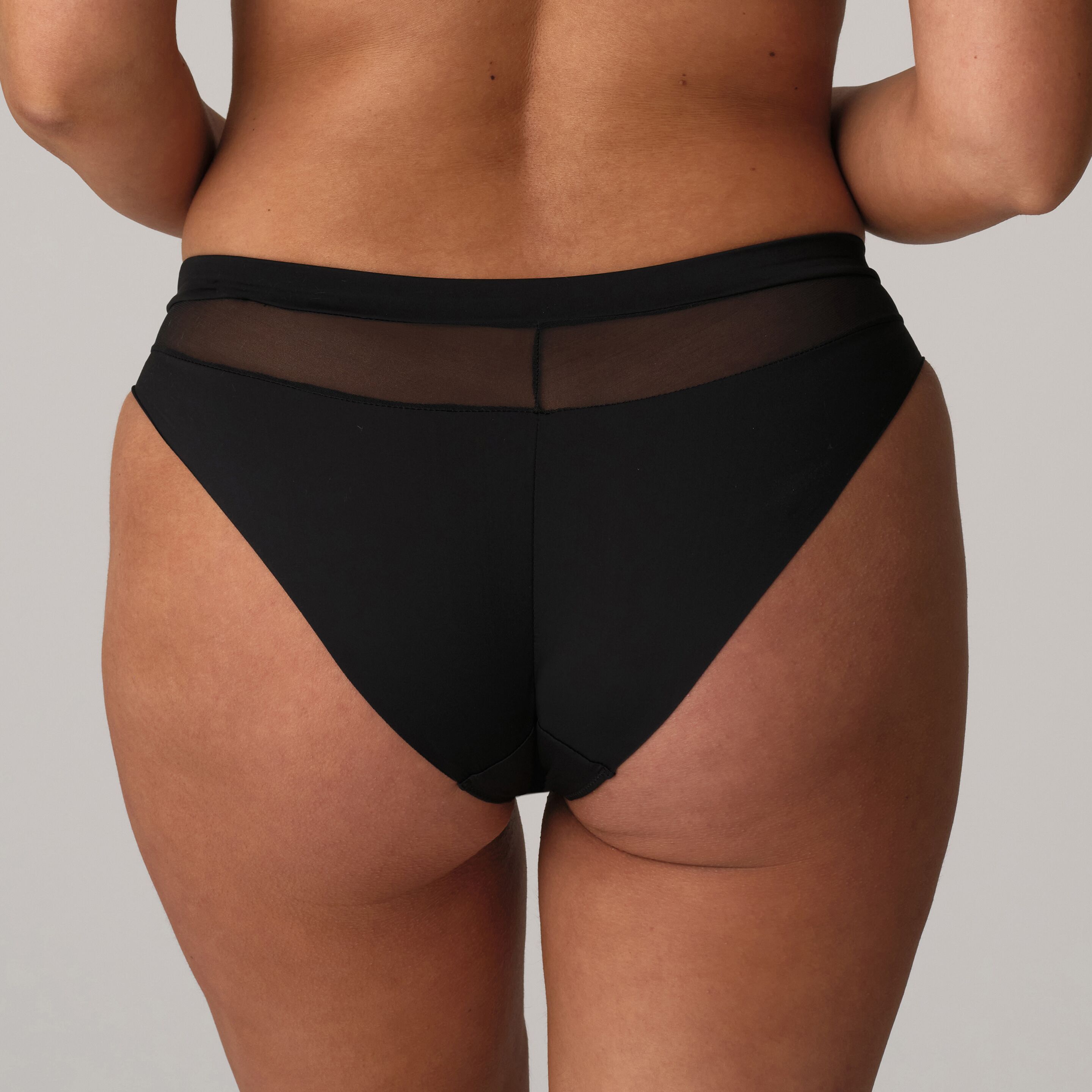 Sophora rio briefs