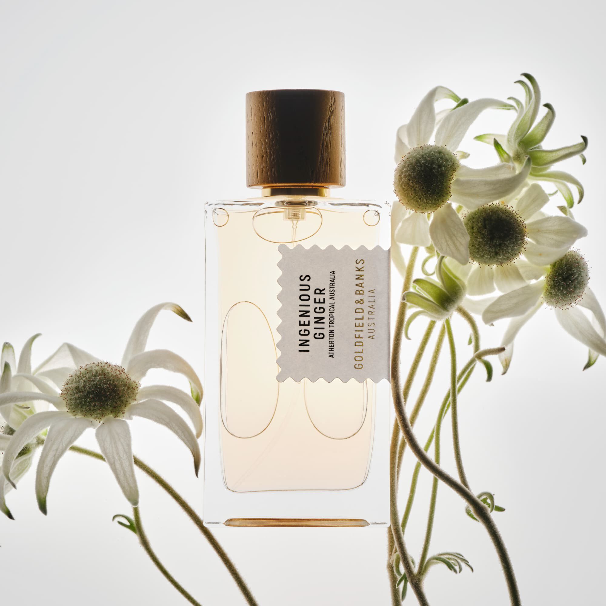 Ingenious Ginger Eau de Parfum