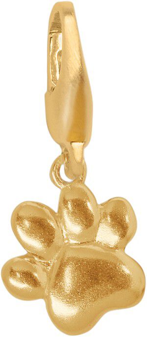 Paw Charm-GP-b