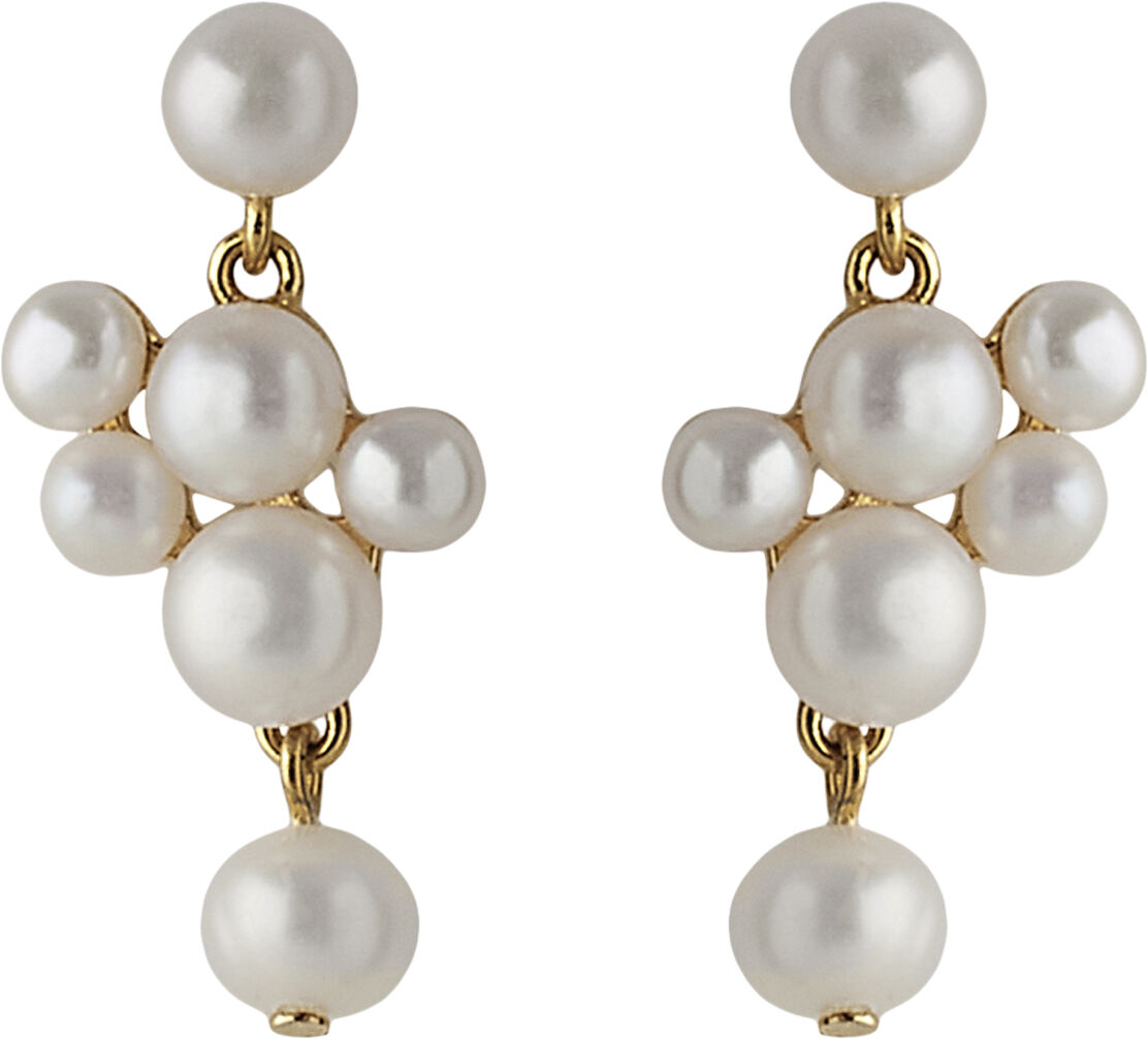 Treasure Earrings length 20 mm