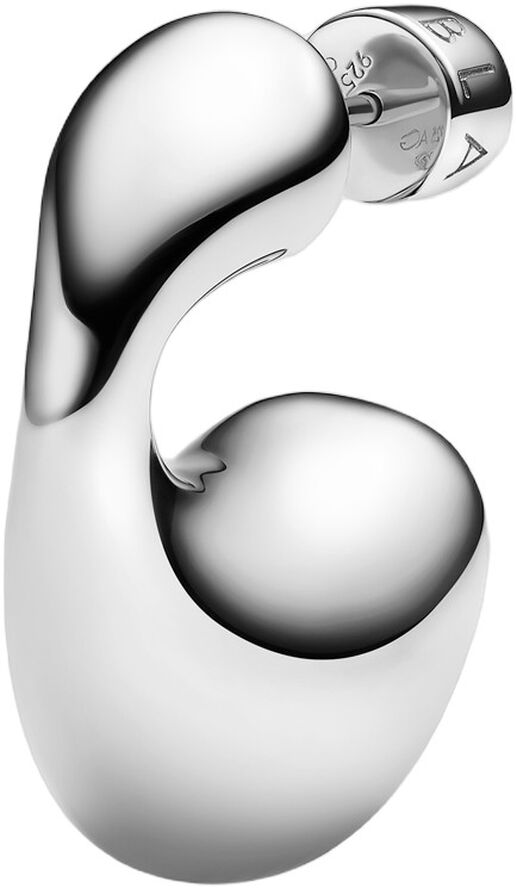 Dolphin Earring Large Silver