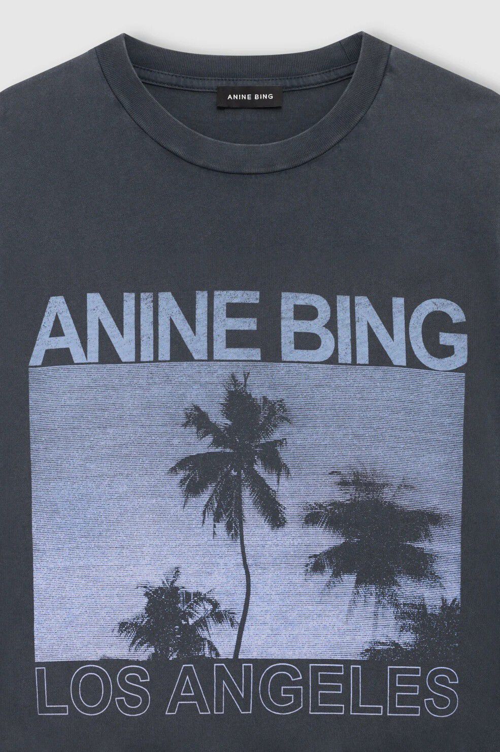 CADE TEE PALMS - WASHED GREY