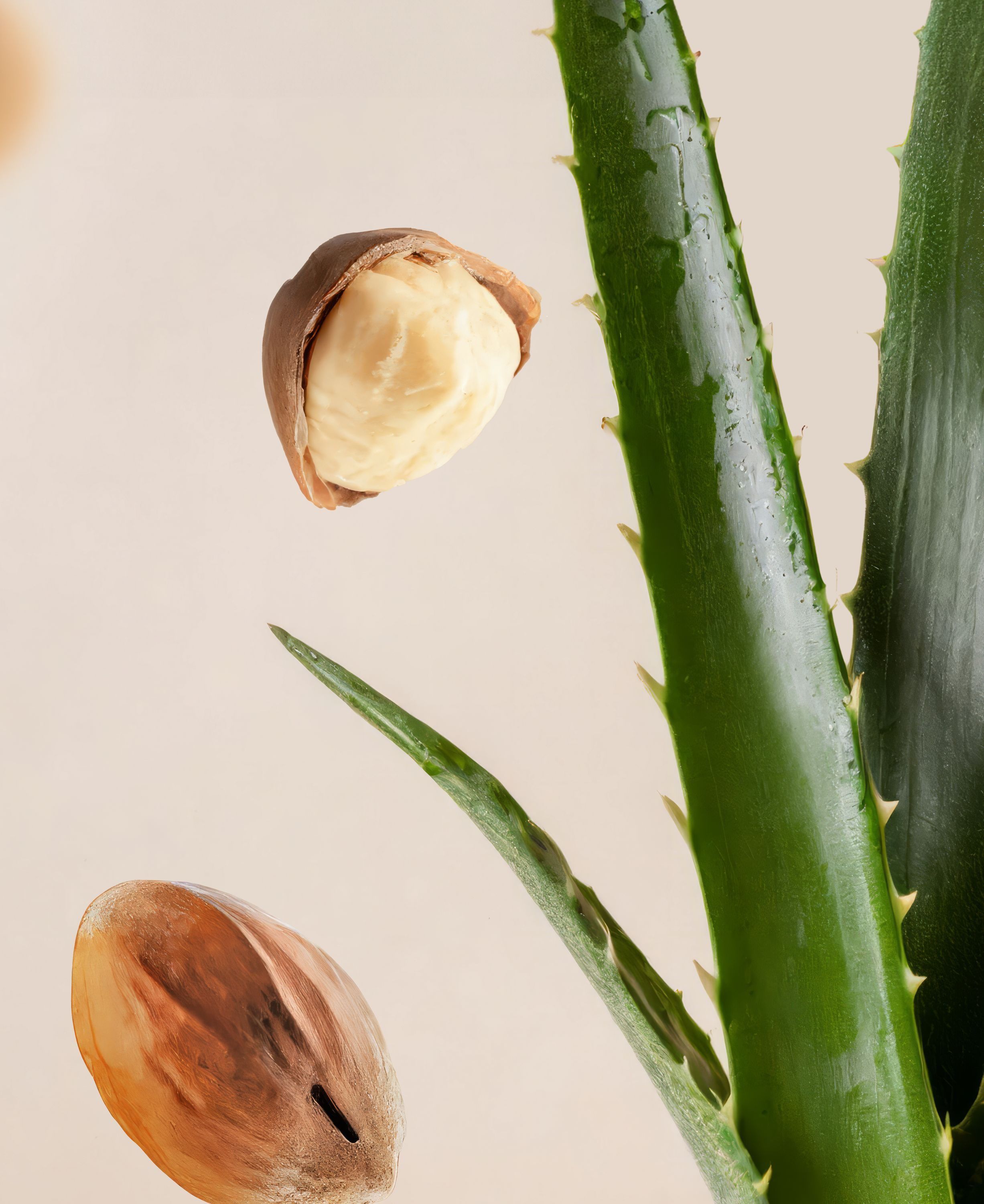 Fortune Balms - Blush