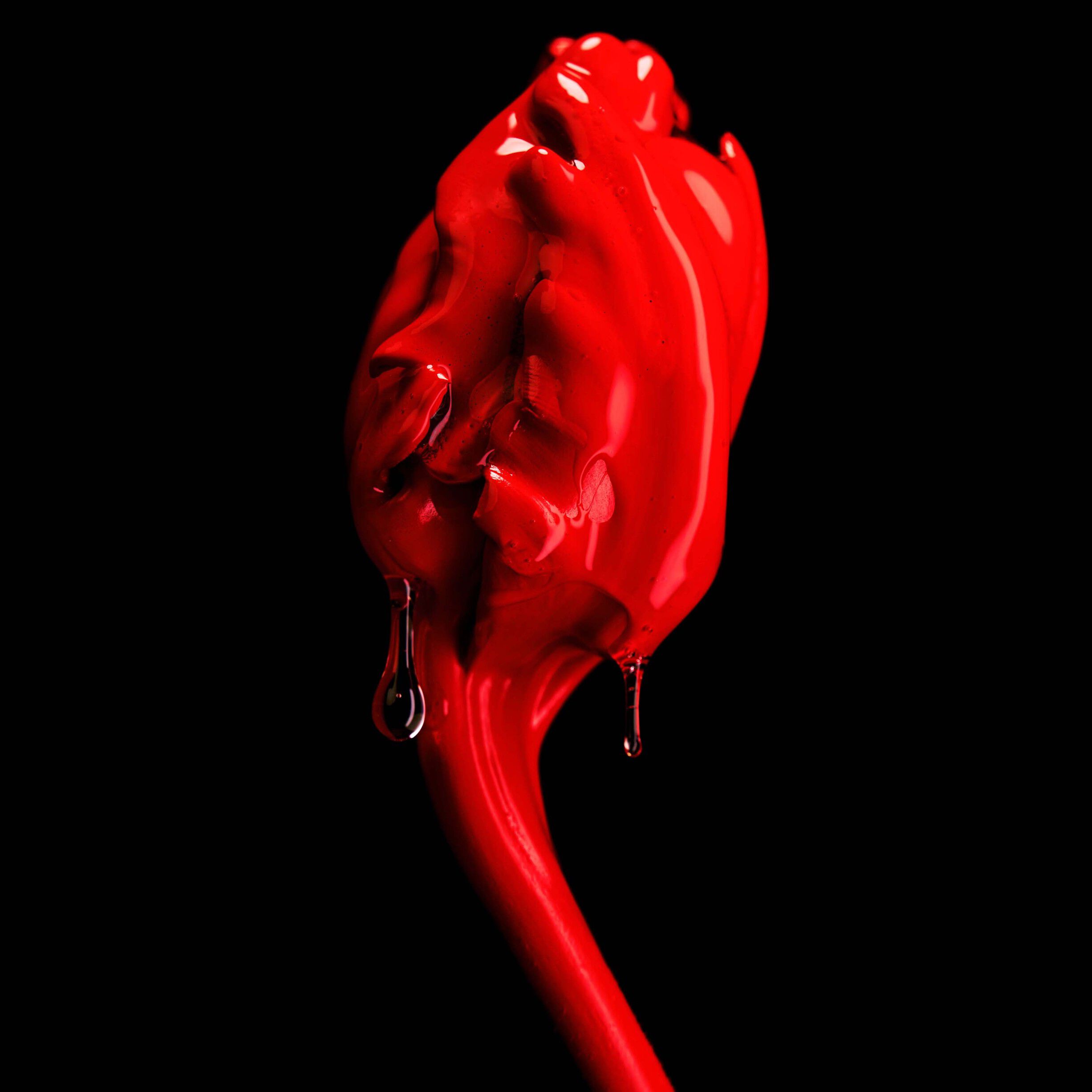 Rose of no mans land Absolu de Parfum
