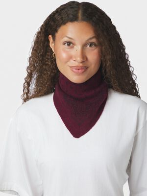 Ariya Paisley Knit Scarf
