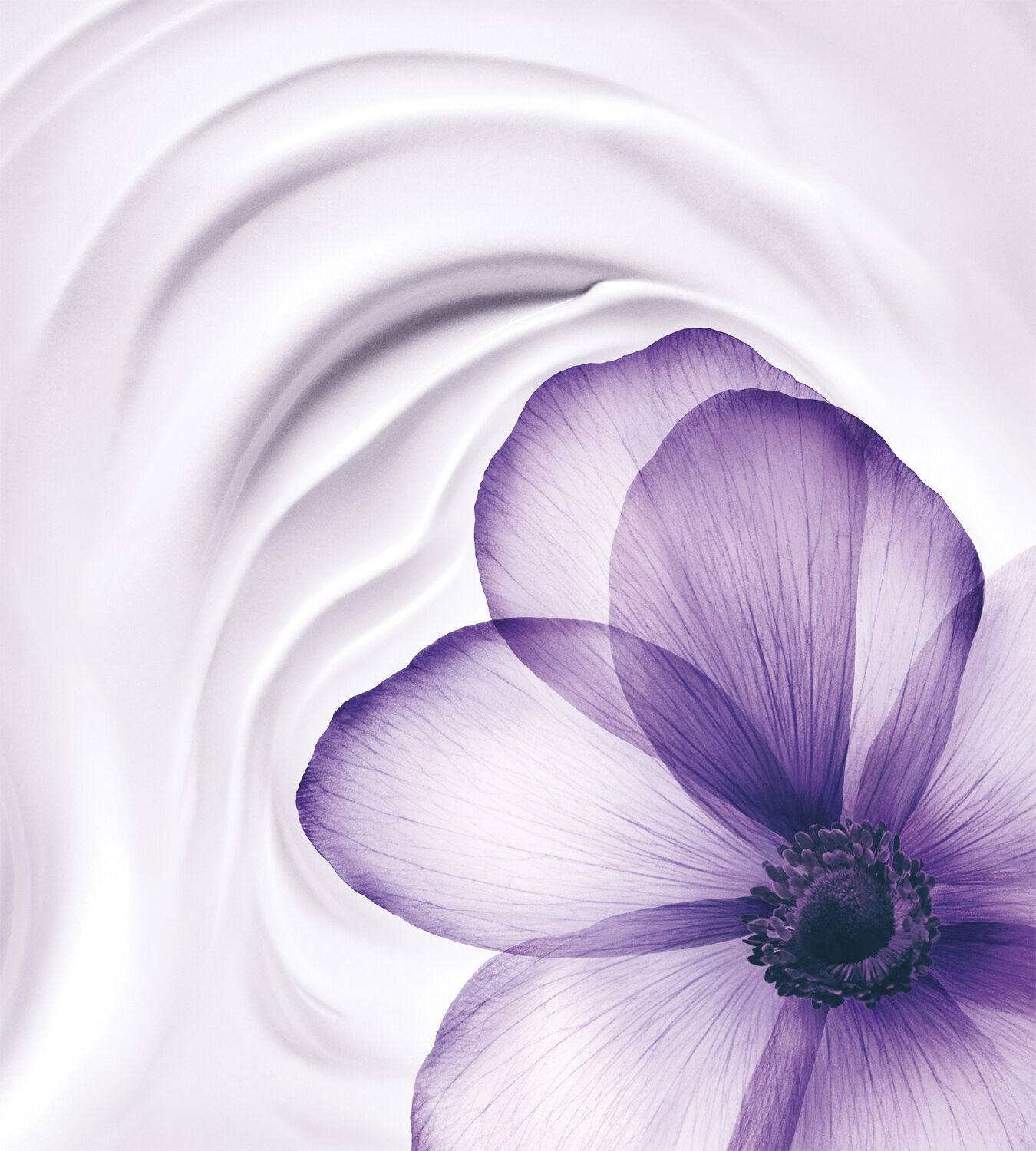 R&eacute;nergie Multi-Lift Night Cream