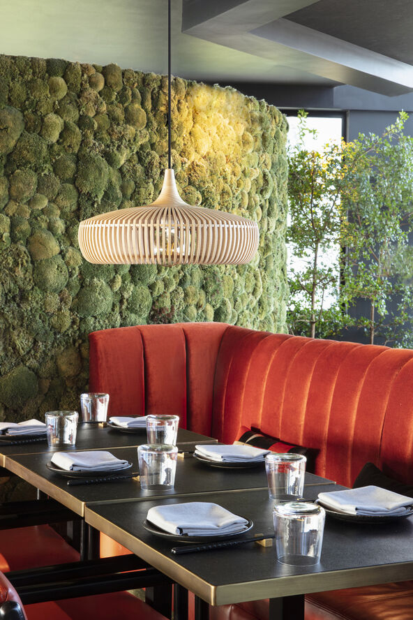 Clava Dine - Wood Natural Oak