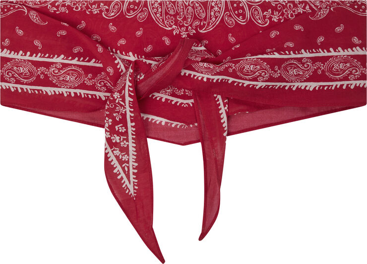 Kinessa Paisley Scarf