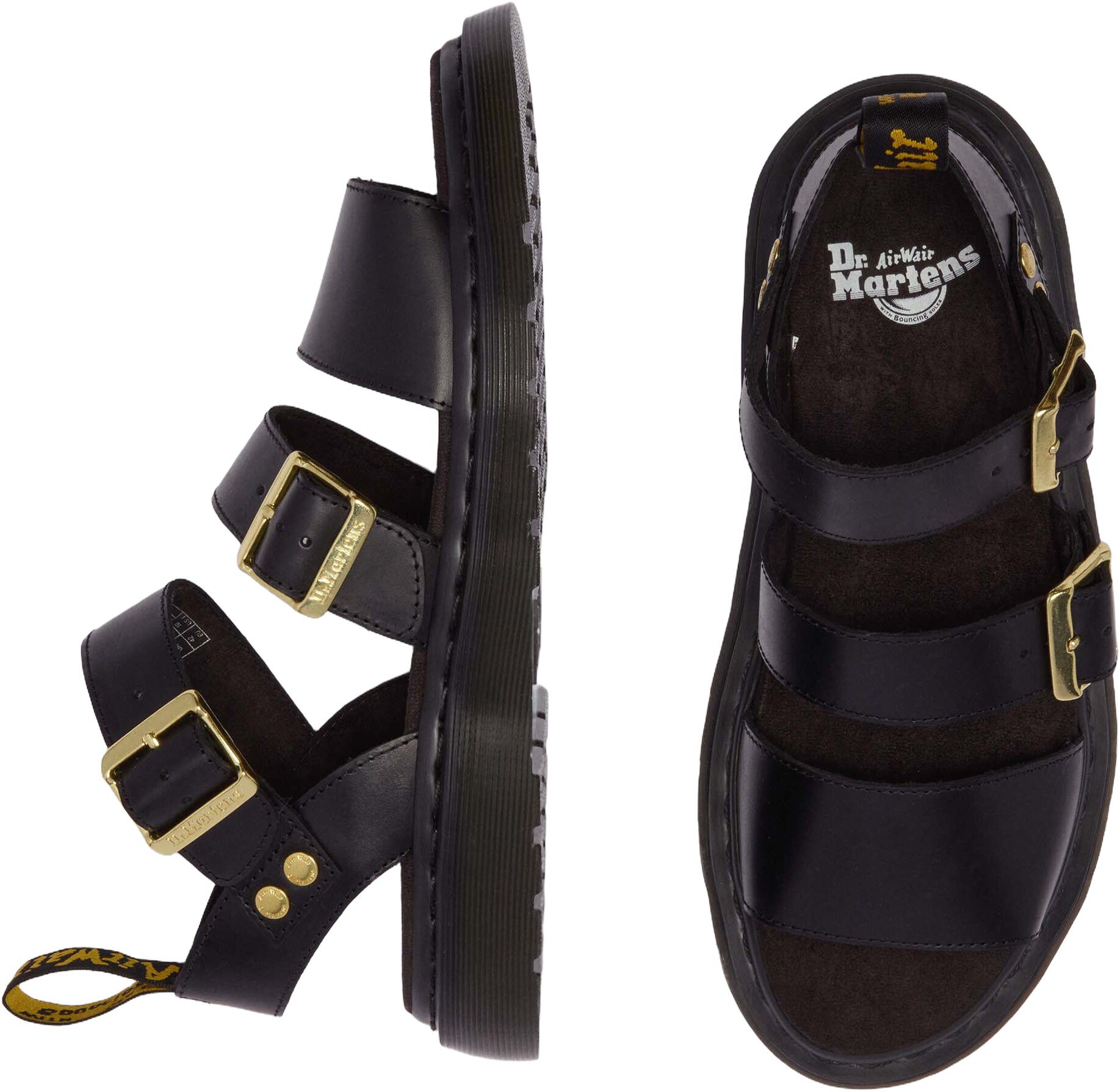 Gryphon Black Atlas