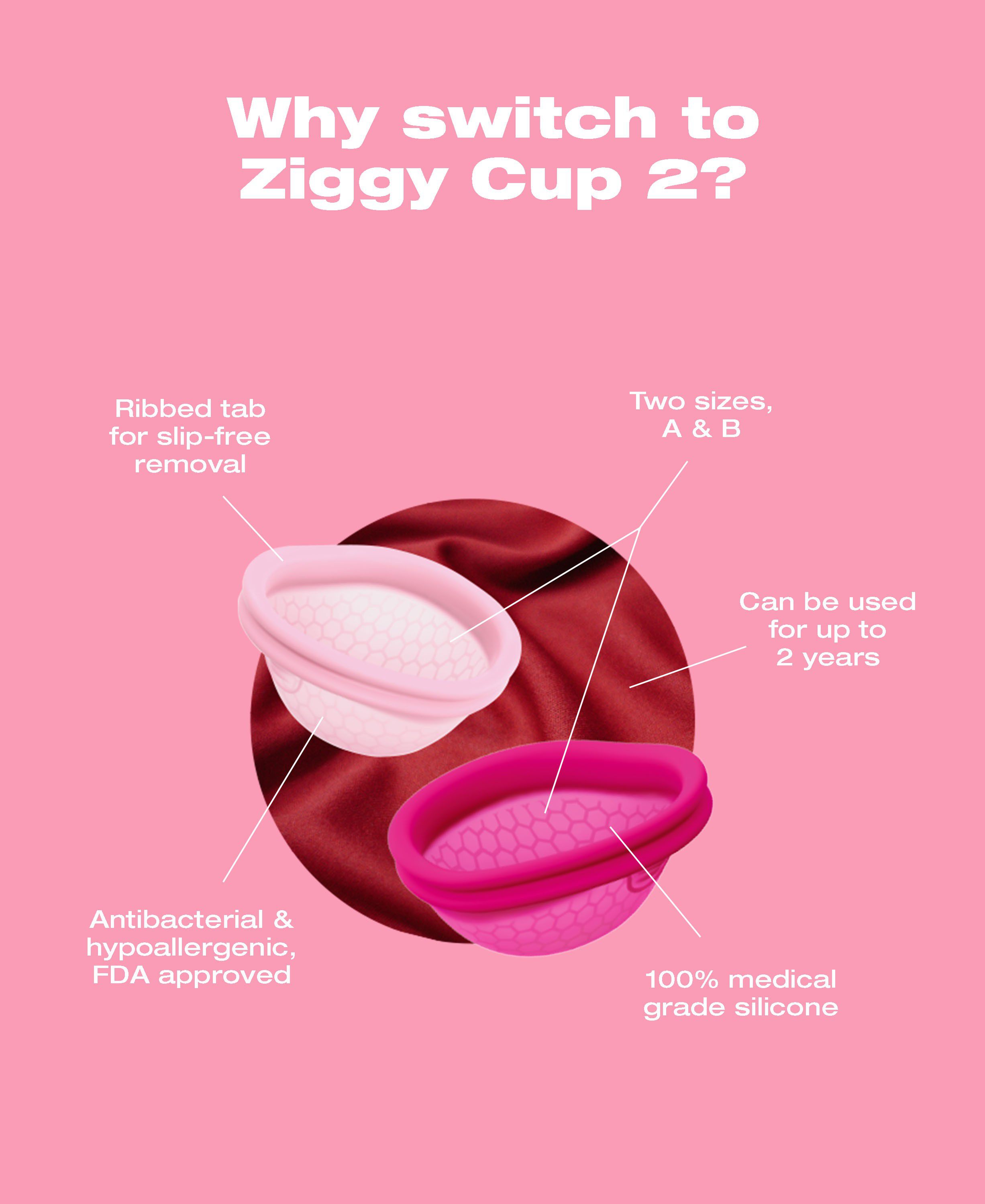 Ziggy Cup 2 Size A