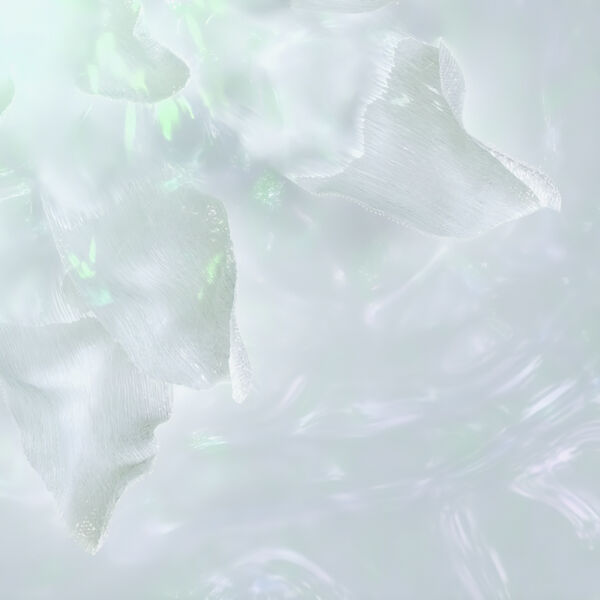 Powercell Skinmunity Serum