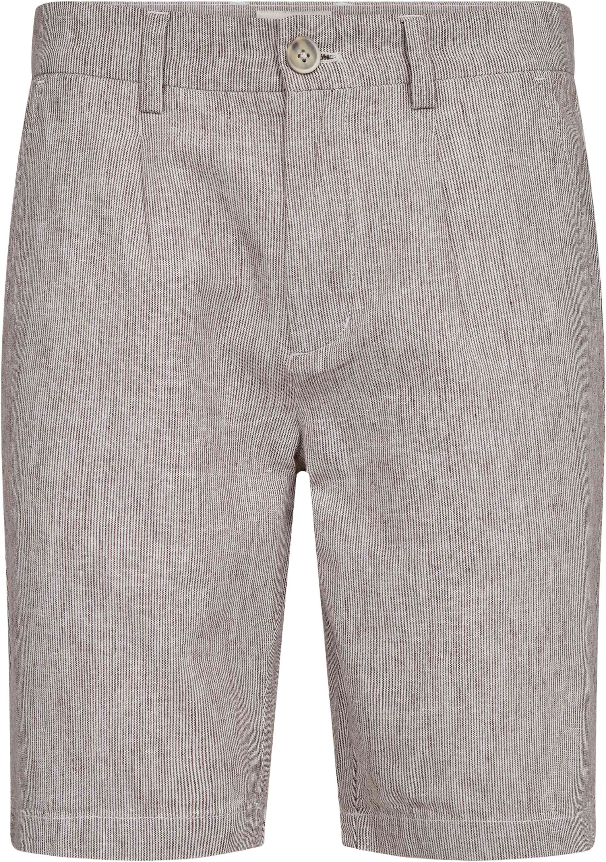 BS Darion Regular Fit Shorts