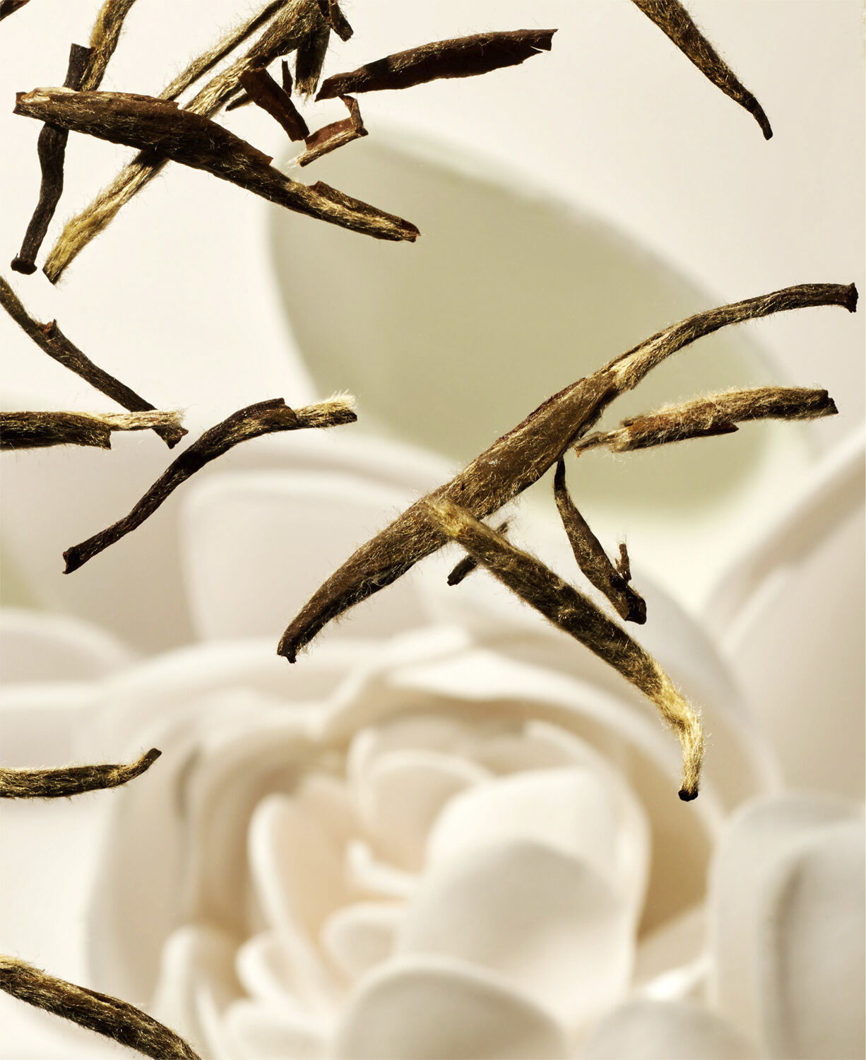 The Ritual of Karma Detergent