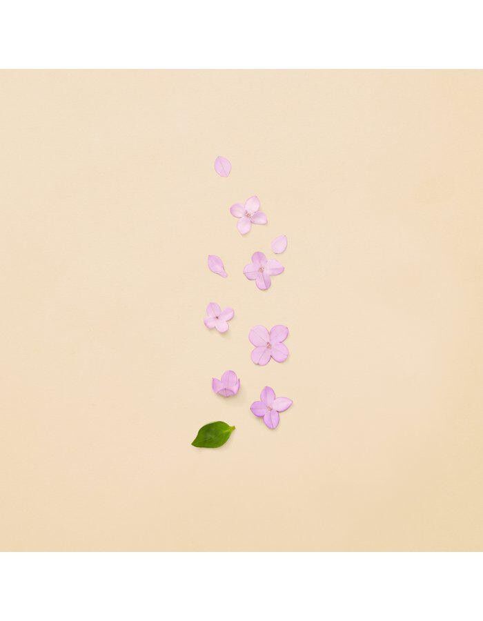 Guilty Revolution Eau De Parfum