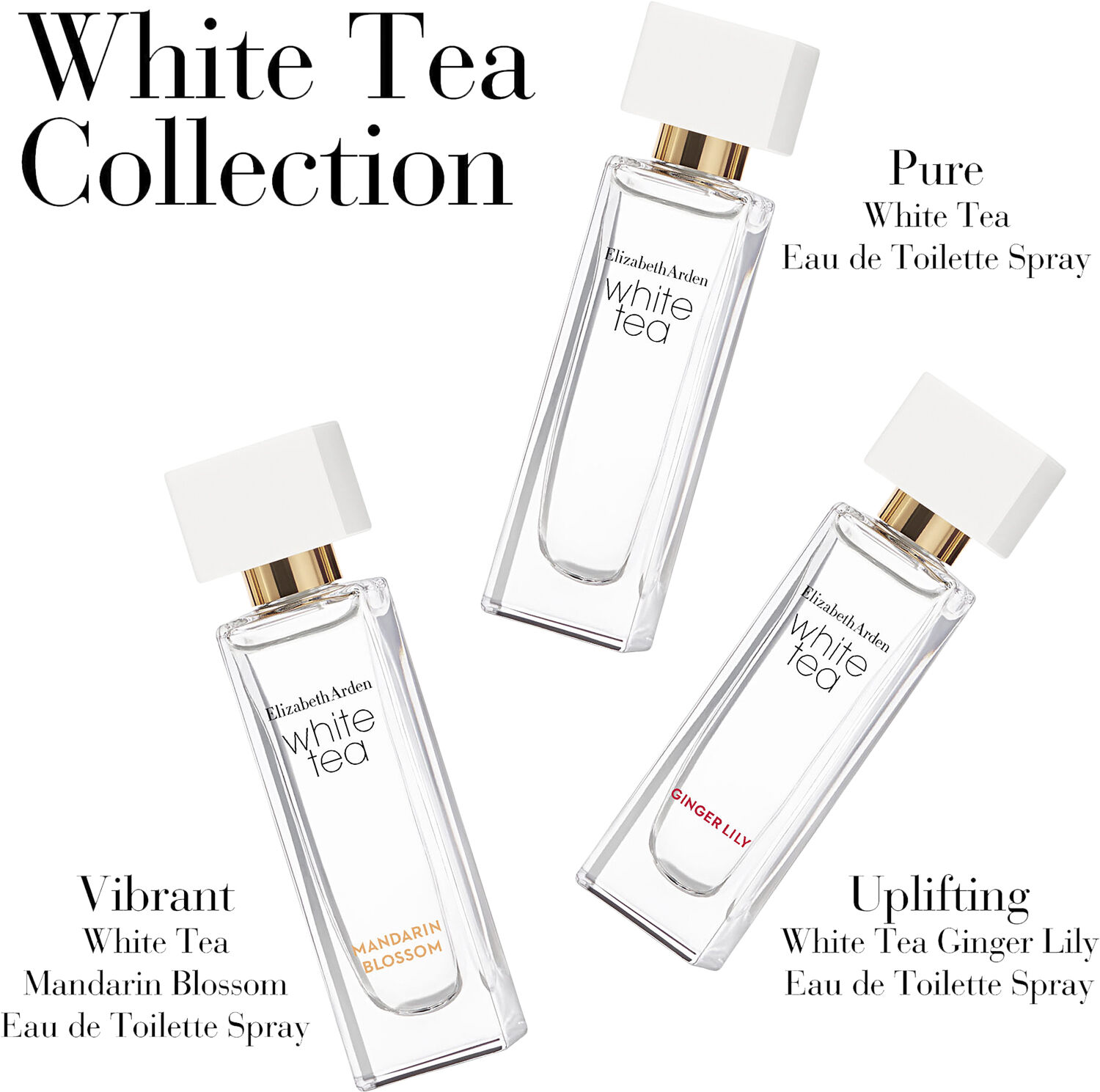 White Tea Gave&aelig;ske 3 x 10 ml