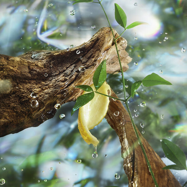 Magic Energy - Fragrance Collection of Emotions