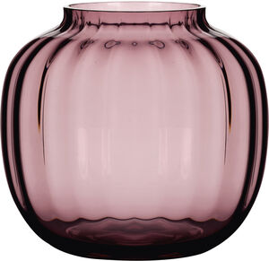 Primula Vase blomme Ø14,5