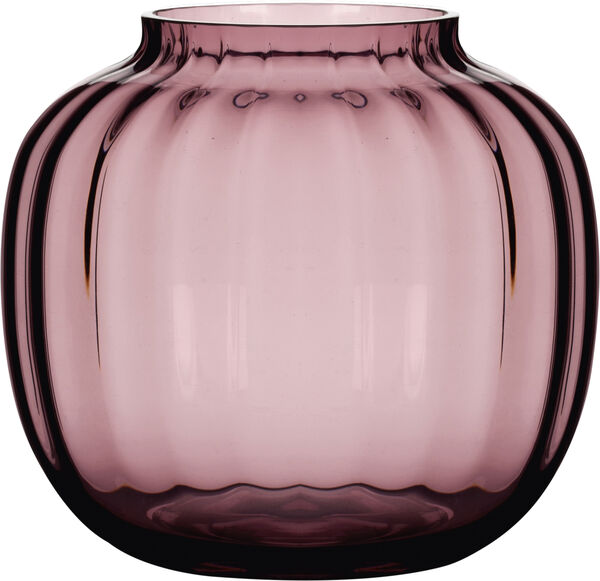 Primula Vase blomme Ø14,5