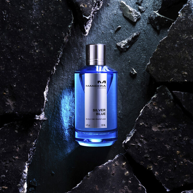 Silver blue Eau de Parfums 120 ml