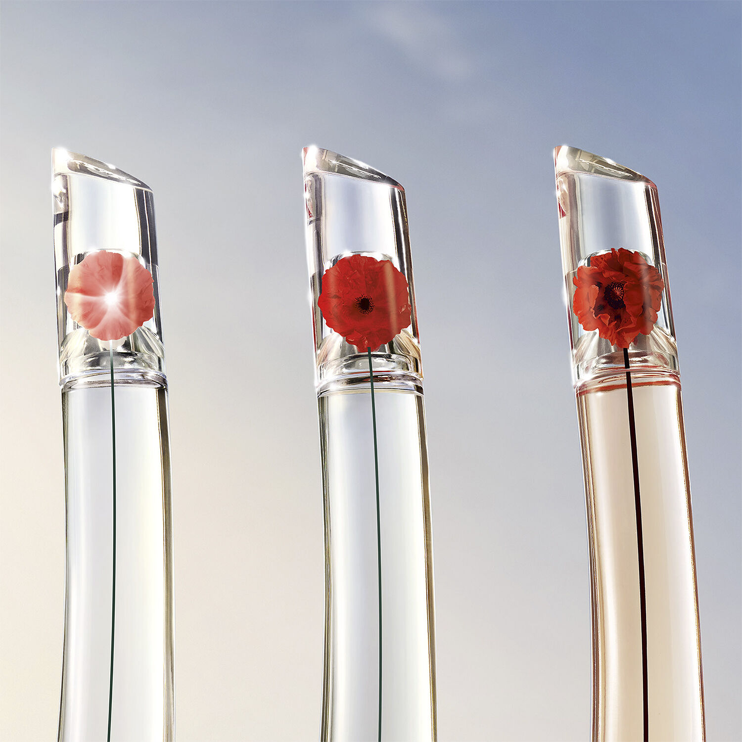 Flower by Kenzo Absolut Eau de Parfum