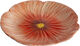 Plate Poppy