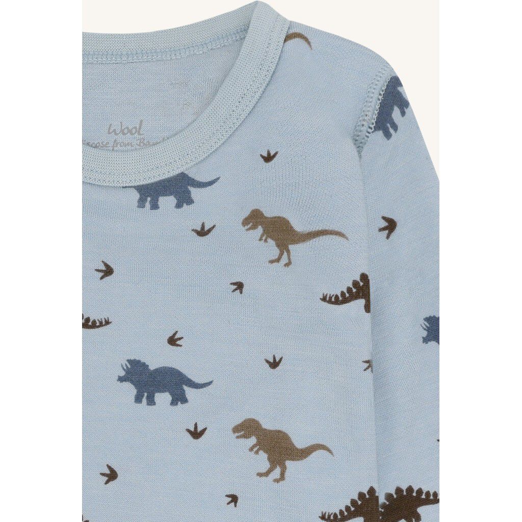 Hcbaloo Dino