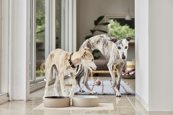 Koko Hundeskål Måtte