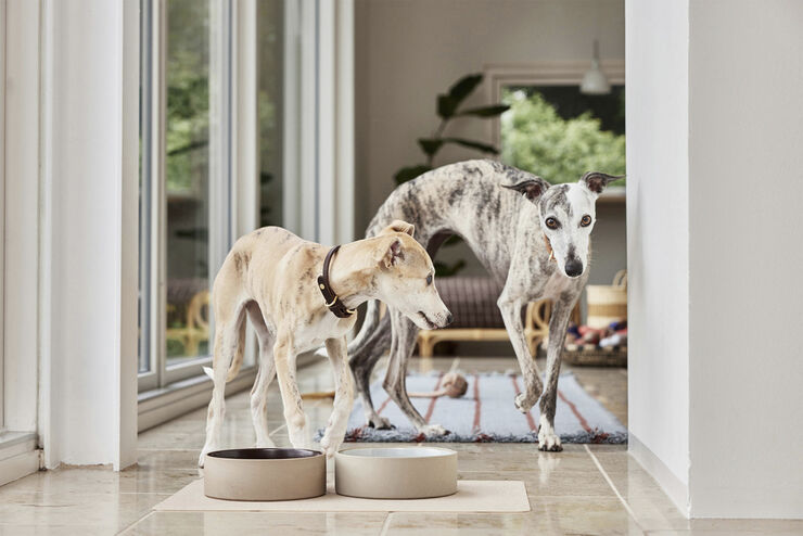 Koko Hundeskål Måtte