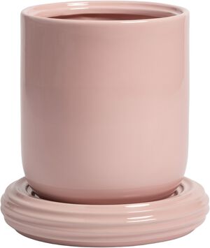 Planter churros blush