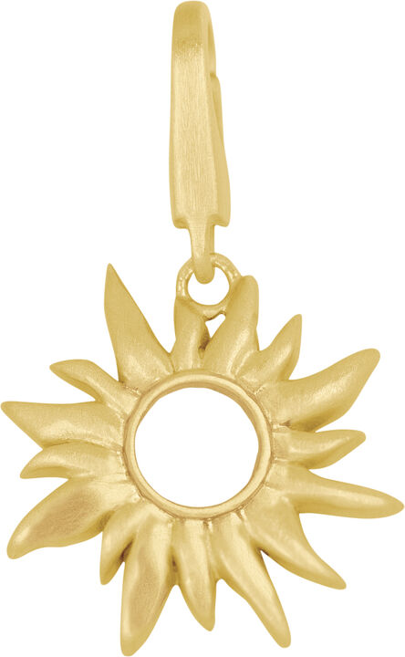 Sun Wild Pendant Small
