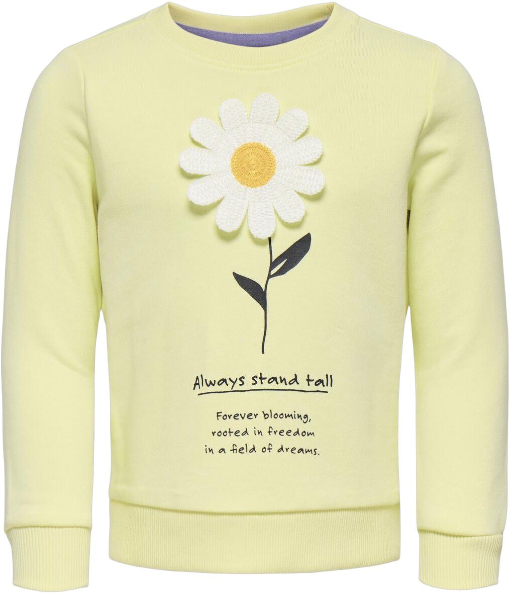 Kmgginnie Ls Reg Print Ub Swt