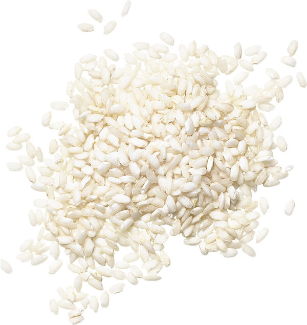 Elixir Collection Shaping Hair Paste