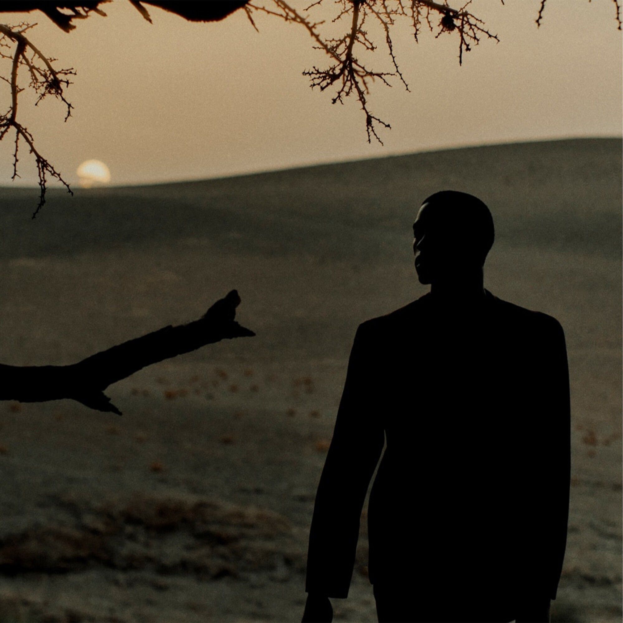 Myrrh & Tonka Cologne Intense