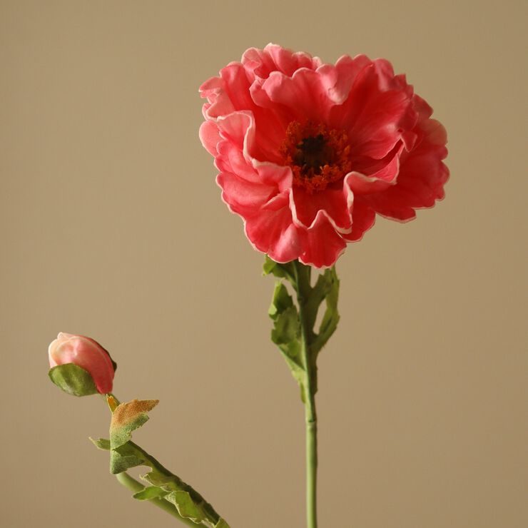 Large Poppy Flower