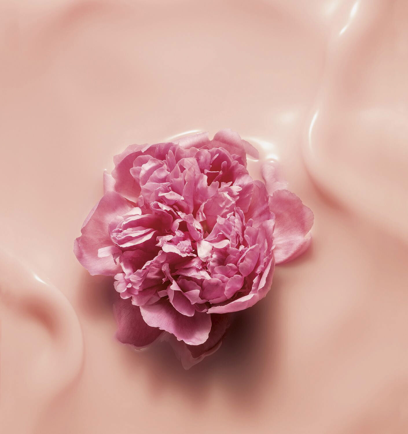 SkE AP Gold. Ag A-Ag Cr Rosy