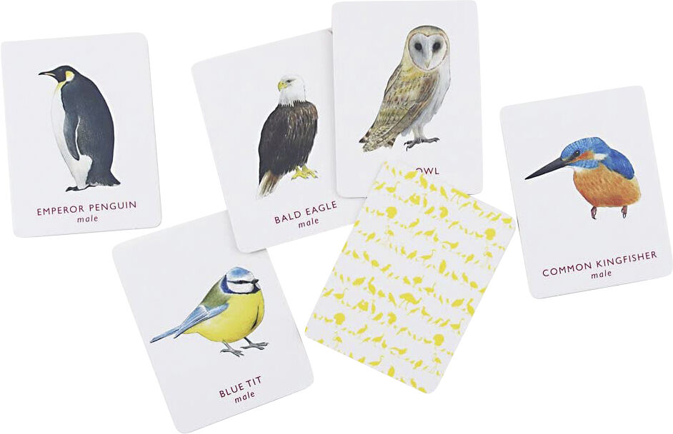 Match a pair of Birds