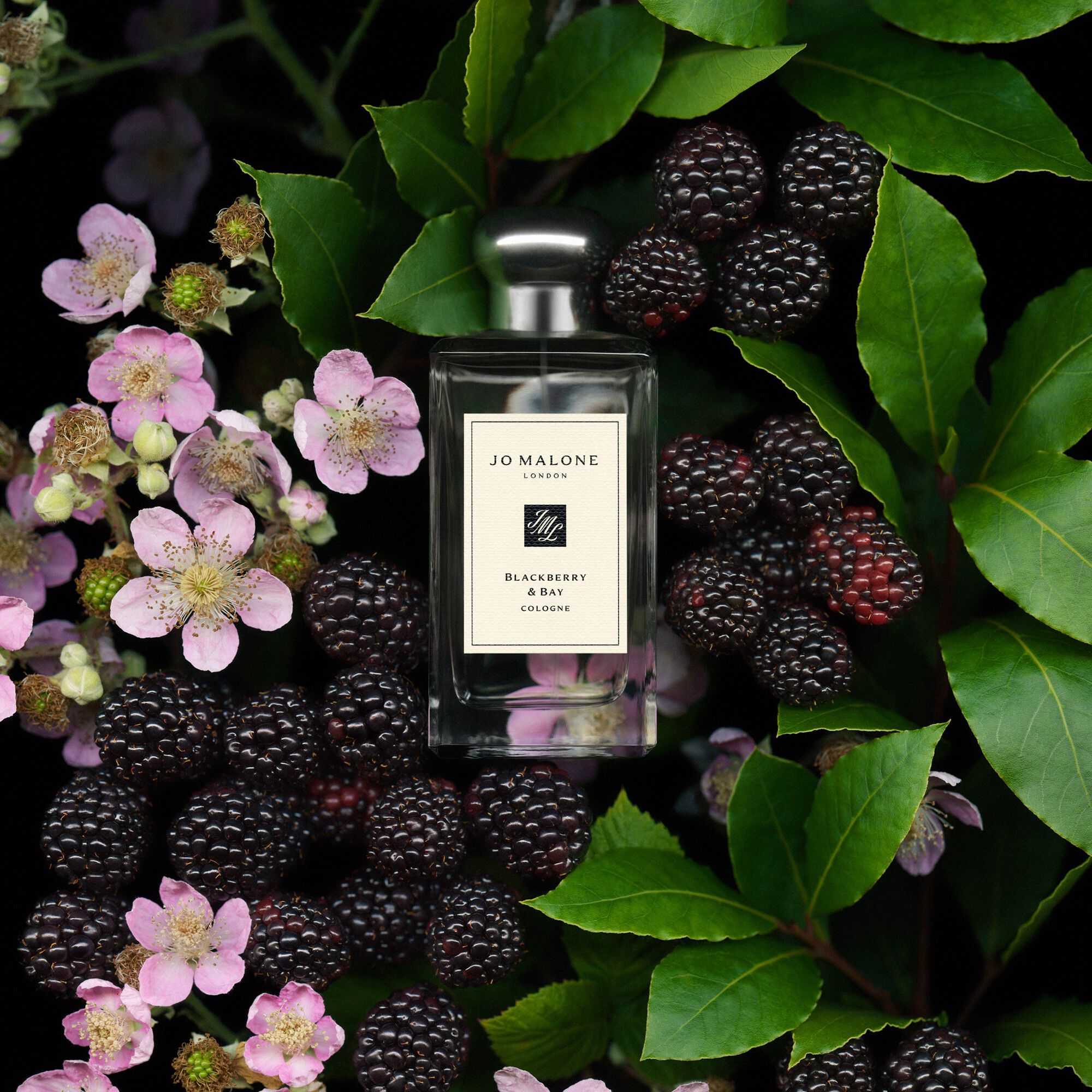 Blackberry & Bay Cologne