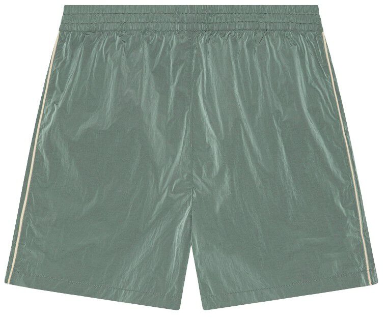 Shiny Crisp Shorts