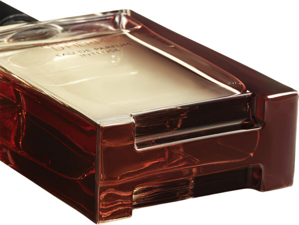 Terre D'hermès Eau de Parfum Intense 100ml