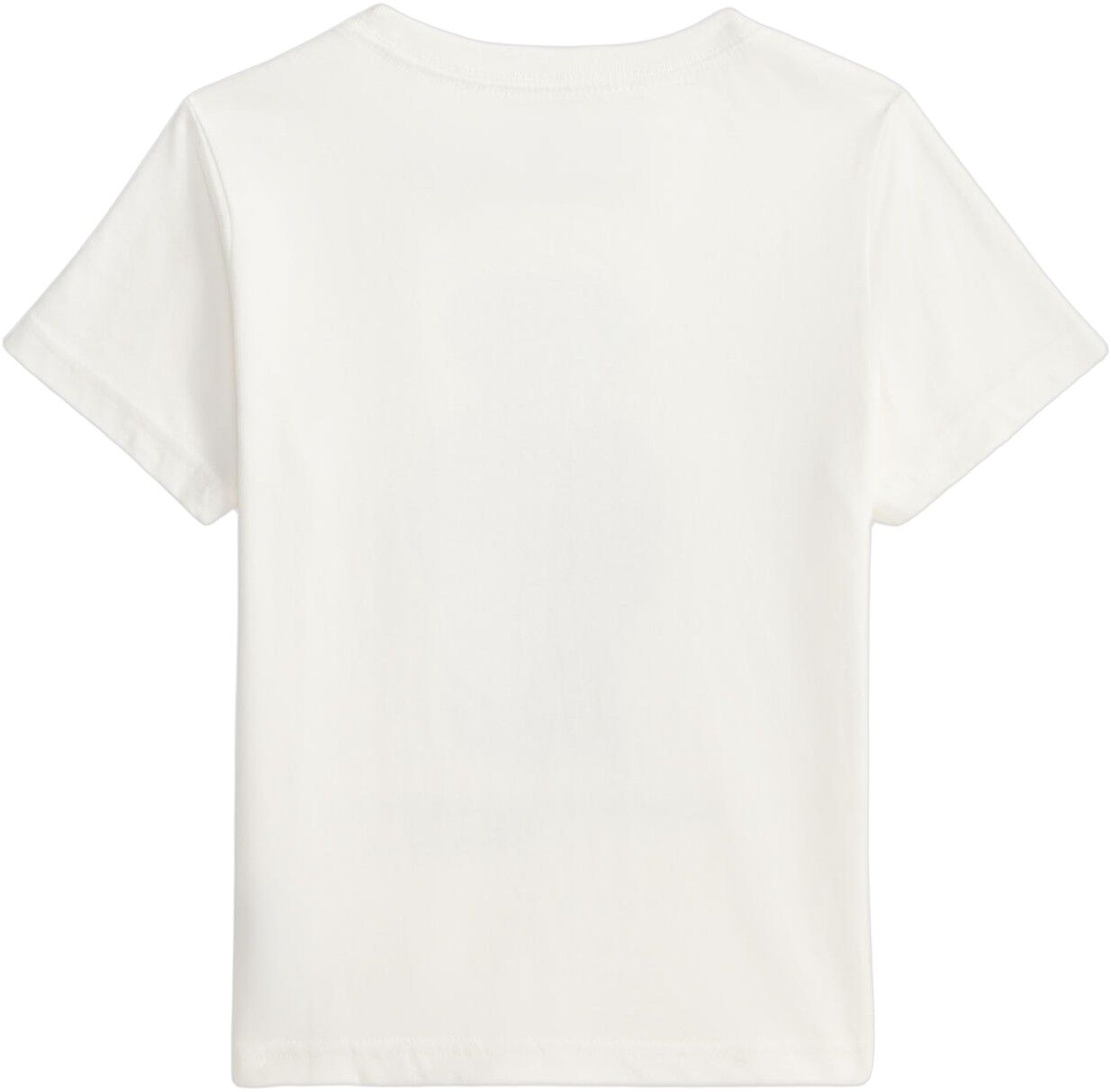 Polo Bear Cotton Jersey Tee