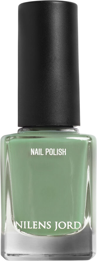 Nail Polish Mint Green