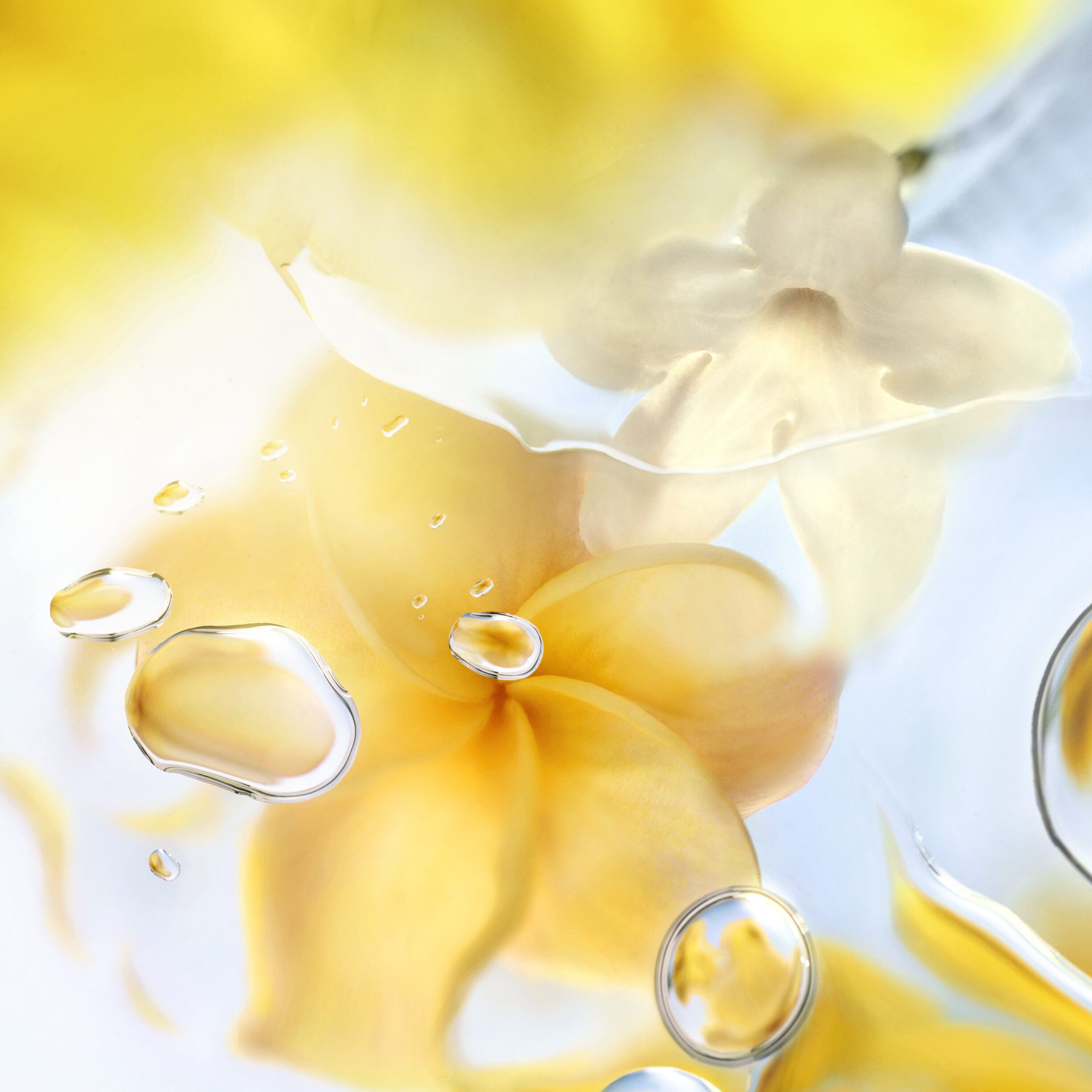 LC ODL O ZENITH EDT V100ml