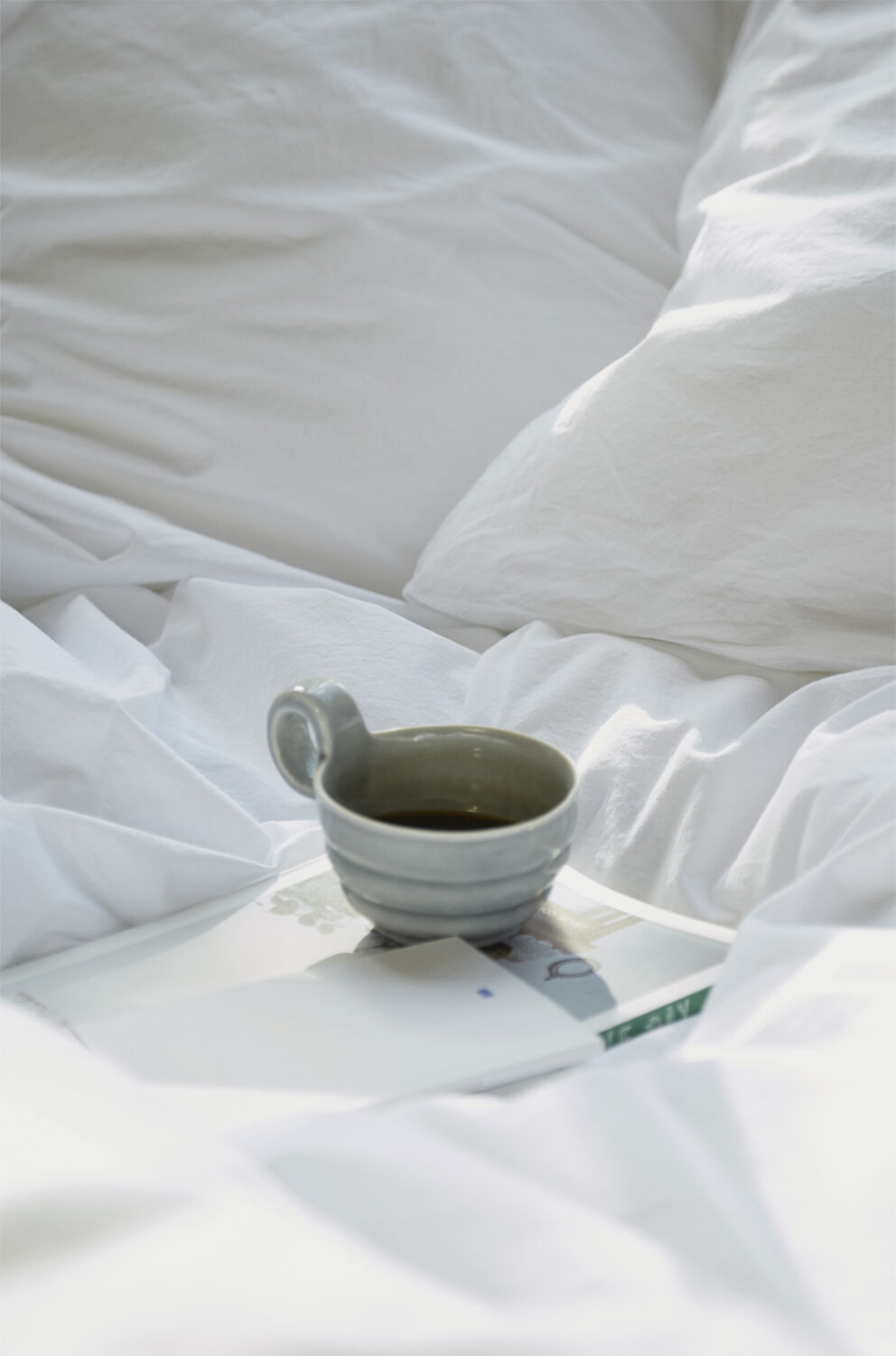 Fossflakes Winter Duvet