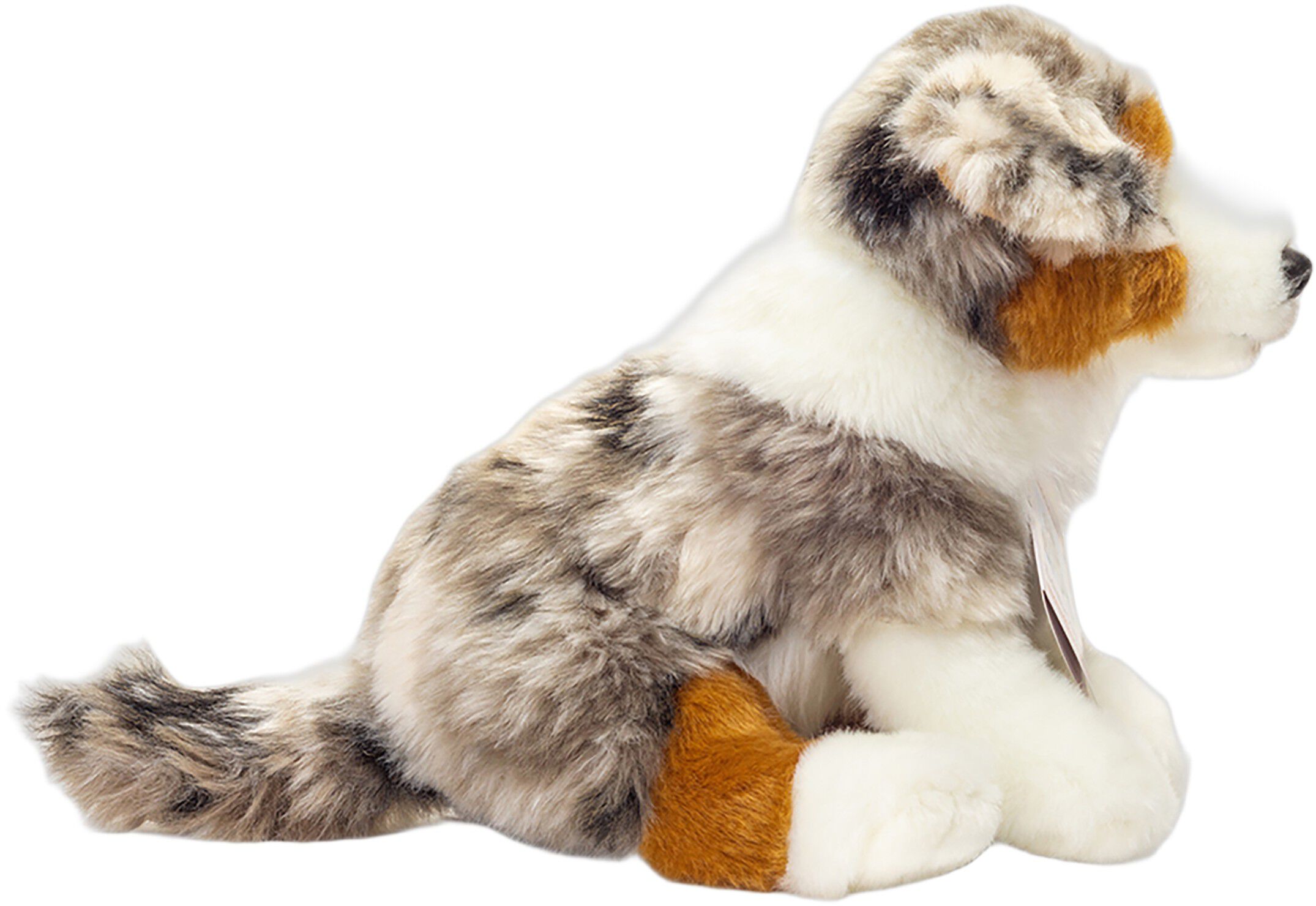 Teddy Hermann - Australsk Hyrdehund hvalp 22 cm