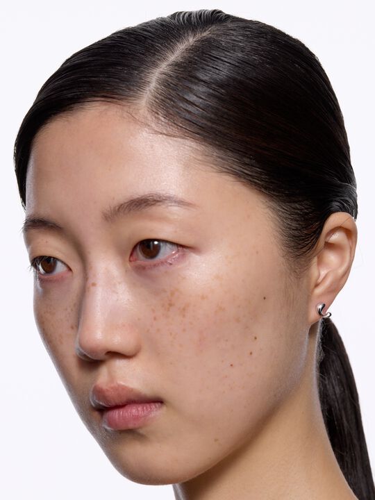 Dolphin Pool Stud Silver