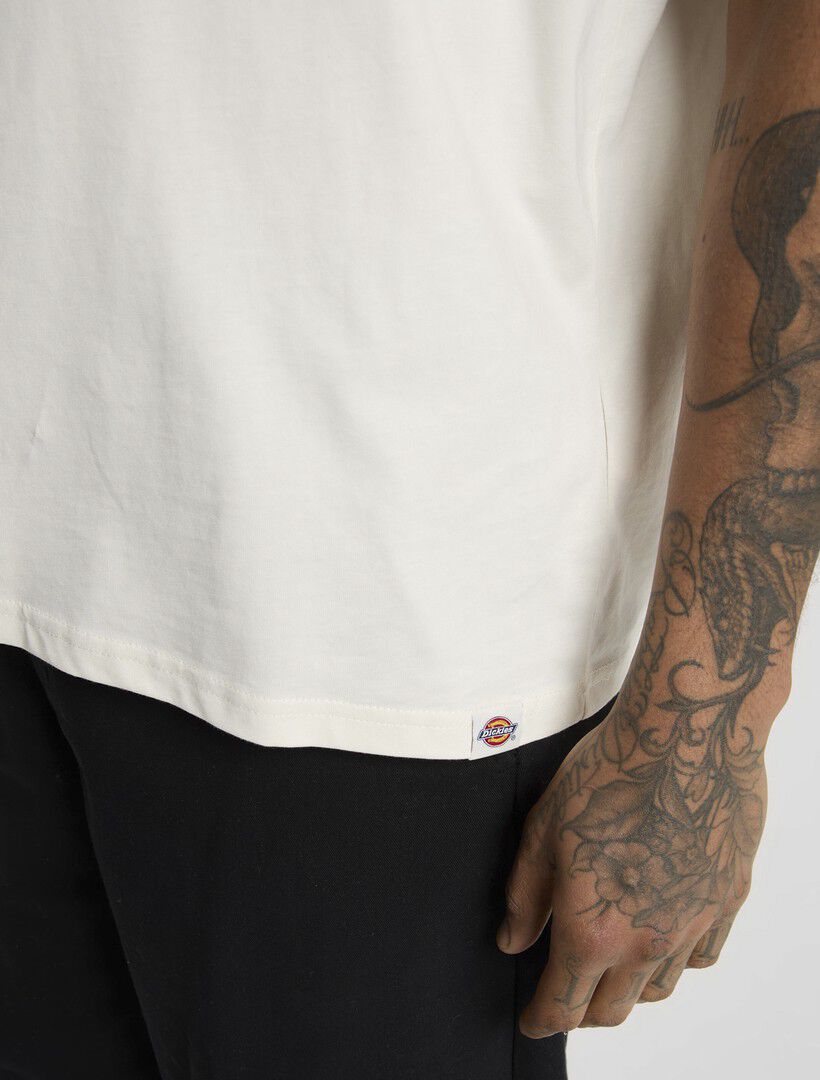 SNEEDVILLE TEE SS EGRET