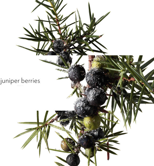 TERRE D'HERMÈS EAU GIVRÈE EAU DE PARFUM