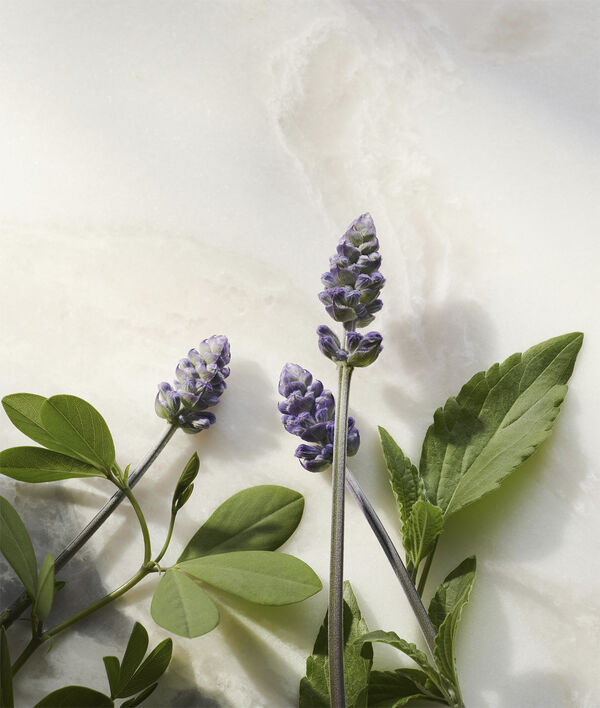 The Ritual of Namaste Glow Anti-Ageing Night Cream Refill