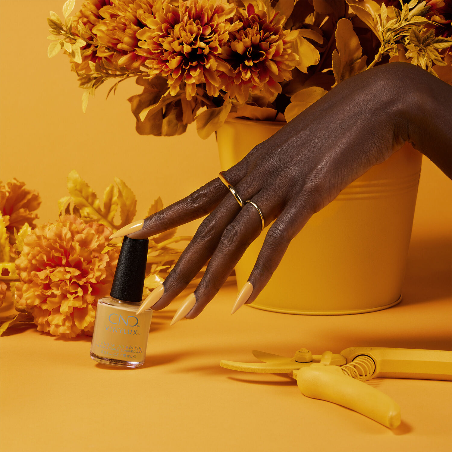 Among The Marigolds CND VINYLUX